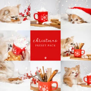 Christmas Preset | by Pet Studio