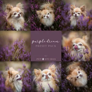 Purple Dream Preset | by Pet Studio