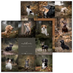 Outdoor & Autumn Dogs Bundel