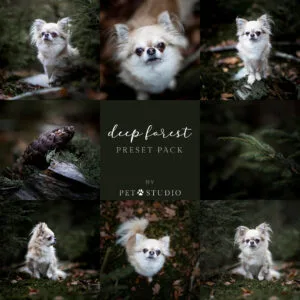 Deep Forest Preset | by Pet Studio