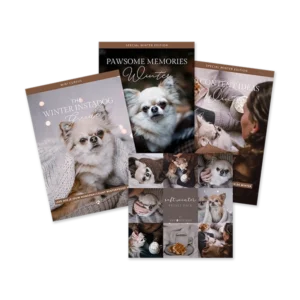 Winter Bundel | LIMITED