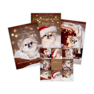 Kerst Bundel | LIMITED