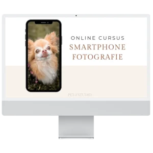 Online Cursus Smartphone Fotografie